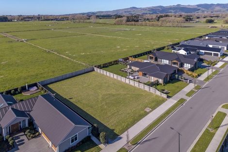 Photo of property in 59 Halpin Drive, Lincoln, 7608