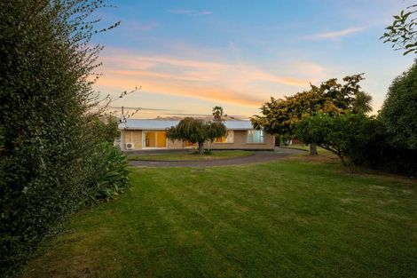 Photo of property in 22a Gilbert Street, Witherlea, Blenheim, 7201