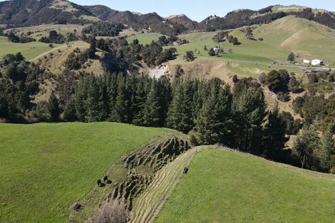 Photo of property in 3345 Weber Road, Weber, Dannevirke, 4970