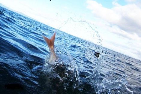 Photo of property in 10 Eames Crescent, Te Mata, Thames, 3575