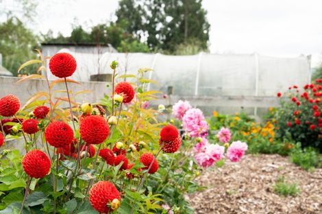 Photo of property in 438 Riccarton Road West, North Taieri, Mosgiel, 9092