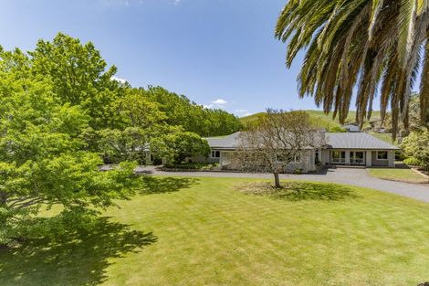 Photo of property in 563 Tuki Tuki Road, Tuki Tuki, Hastings, 4180
