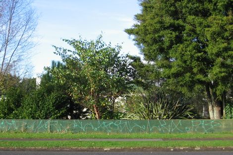 Photo of property in 49 Papanui Street, Tokoroa, 3420