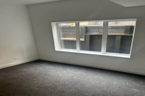 Photo of property in 8 Wilkinson Street, Oriental Bay, Wellington, 6011