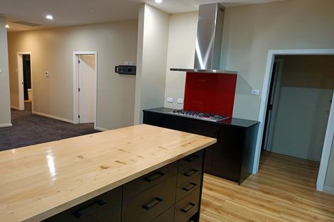 Photo of property in 12 Birchfield Avenue, North East Valley, Dunedin, 9010