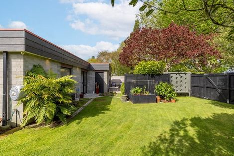 Photo of property in 15 Kestrel Crescent, Matamata, 3400