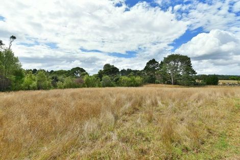 Photo of property in 357 Shelly Beach Road, South Head, 0874