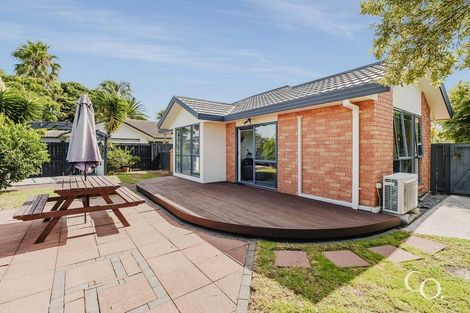 Photo of property in 41 Francevic Avenue, Mount Maunganui, 3116