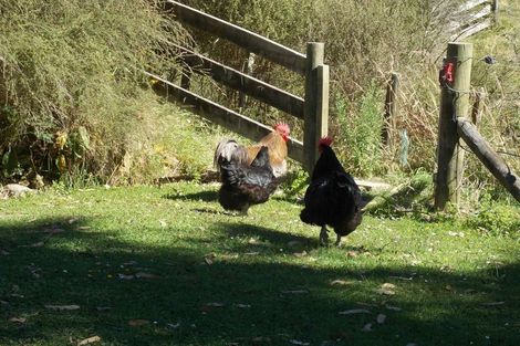 Photo of property in 70 Greens Road, Linton, Palmerston North, 4472