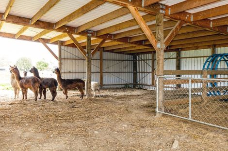 Photo of property in 18 Nixons Road, Fairlie, 7987