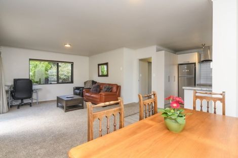 Photo of property in 29a Botanical Road, Takaro, Palmerston North, 4412