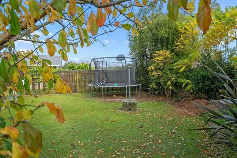 Photo of property in 17 Western Street, Matamata, 3400