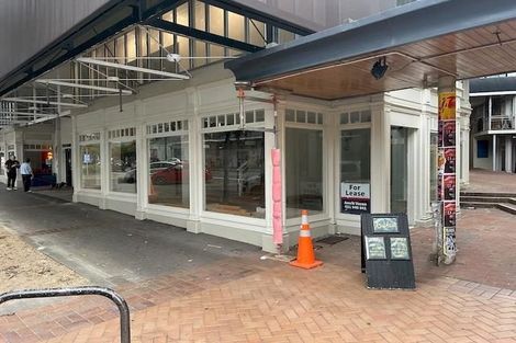 Photo of property in 118 Victoria Street, Te Aro, Wellington, 6011