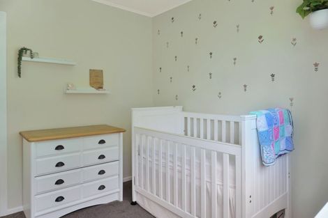 Photo of property in 49b Tararua Street, Pahiatua, 4910