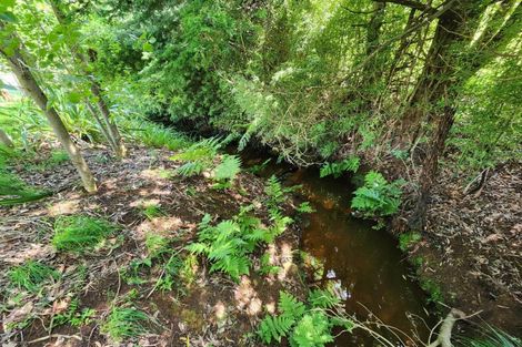 Photo of property in 118 Wrights Road, Raglan, 3295