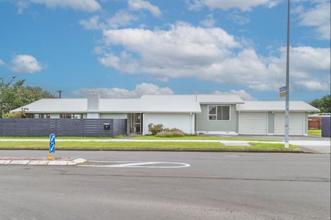 Photo of property in 117 Liverpool Street, Levin, 5510