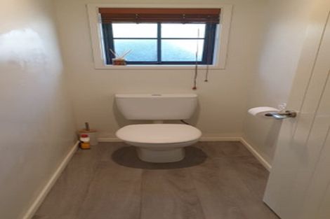 Photo of property in 29 Waenga Drive, Cromwell, 9310