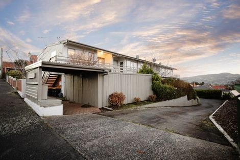 Photo of property in 19f Sheen Street, Roslyn, Dunedin, 9010