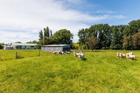 Photo of property in 31 Millricks Line, Linton, Palmerston North, 4472