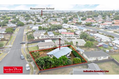Photo of property in 20 Dungarvon Place, Clendon Park, Auckland, 2103
