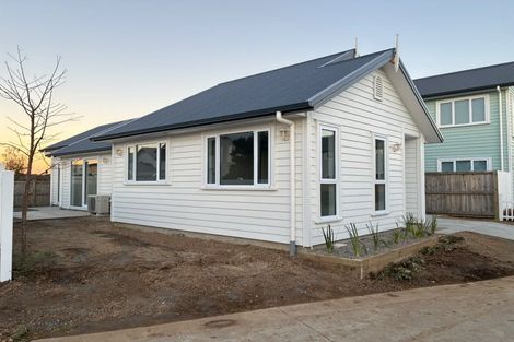 Photo of property in 41 Mccorquindale Drive, Flagstaff, Hamilton, 3210