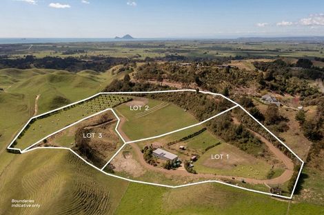 Photo of property in 230b Withy Road, Manawahe, Whakatane, 3193