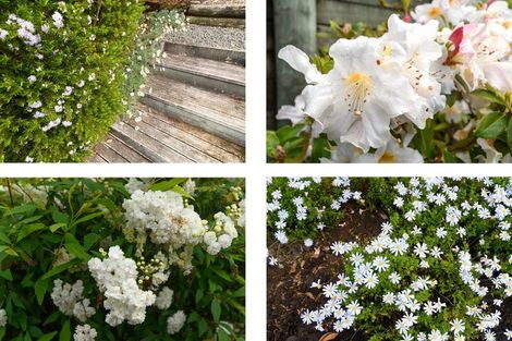 Photo of property in 61 Waipuna Grove, Welcome Bay, Tauranga, 3112