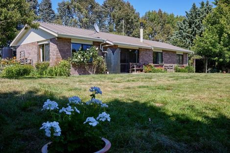 Photo of property in 42 Mina Road, Cheviot, 7382