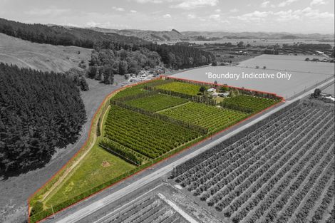 Photo of property in 98 Taurau Valley Road, Manutuke, 4072
