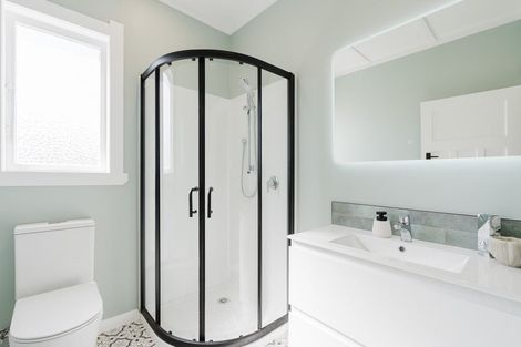 Photo of property in 17 Hinau Street, Maeroa, Hamilton, 3200