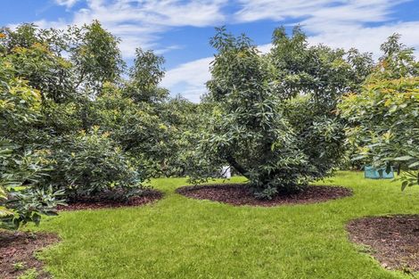 Photo of property in 21 Plummer Road, Whakamarama, Tauranga, 3179