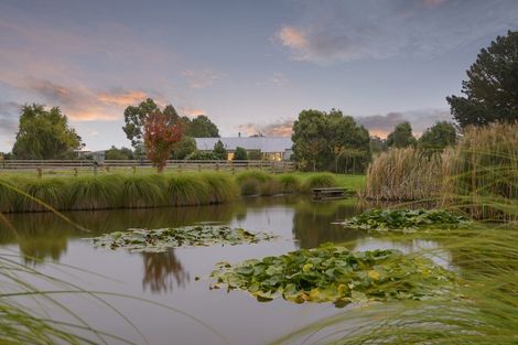 Photo of property in 747 Mount Thomas Road, Fernside, Rangiora, 7471