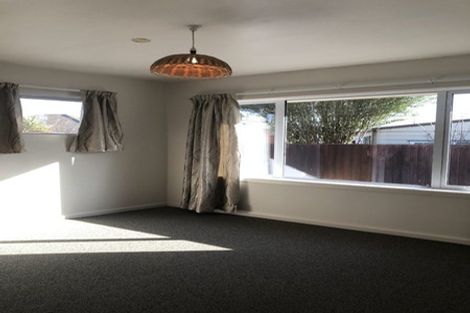 Photo of property in 41 Flower Street, Bryndwr, Christchurch, 8053