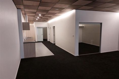 Photo of property in Te Kainga, 195 Willis Street, Te Aro, Wellington, 6011