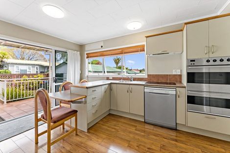 Photo of property in 14 Fifth Avenue, Mount Albert, Auckland, 1025