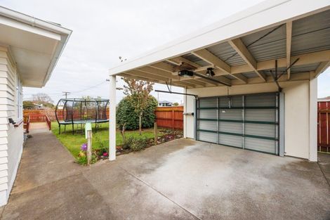 Photo of property in 48 Bamfield Street, Ashhurst, 4810