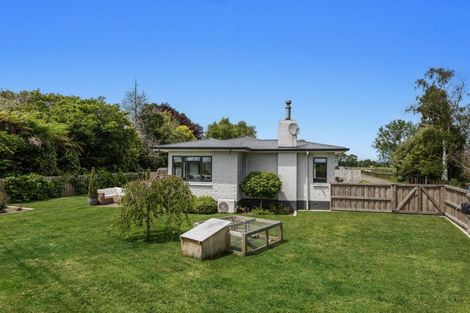 Photo of property in 36 Tawa Street, Edgecumbe, 3120