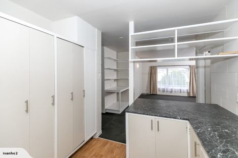 Photo of property in 25c Opoia Road, Hamilton East, Hamilton, 3216