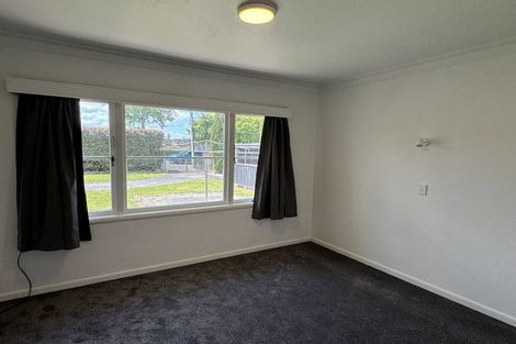 Photo of property in 341 Peachgrove Road, Fairfield, Hamilton, 3214