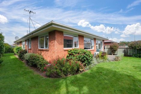 Photo of property in 242 Ness Street, Appleby, Invercargill, 9812