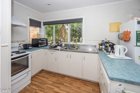 Photo of property in 103 Aurora Terrace, Hillcrest, Hamilton, 3216