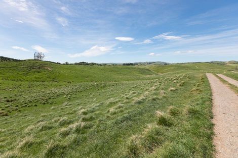 Photo of property in 300 Pattison Road, Akina, Hastings, 4122