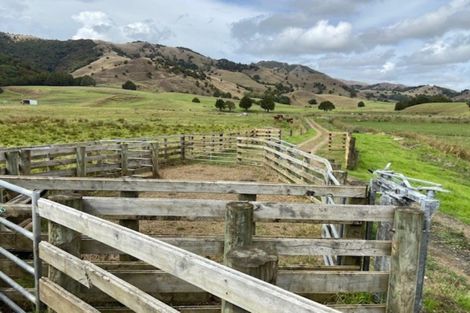 Photo of property in 1008 Tangowahine Valley Road, Tangowahine, Dargaville, 0372