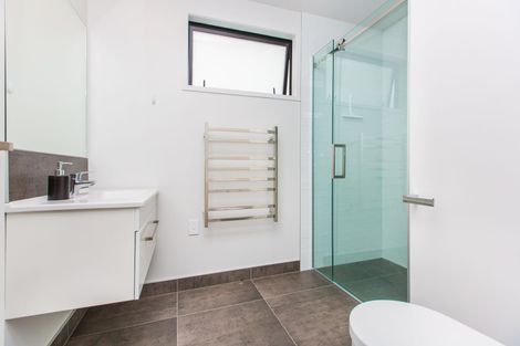 Photo of property in 43 Probert Crescent, Chartwell, Hamilton, 3210