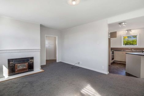 Photo of property in 13a Manse Street, Hampstead, Ashburton, 7700