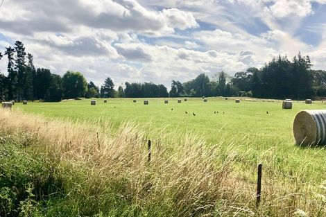 Photo of property in 408 Tuahiwi Road, Tuahiwi, Kaiapoi, 7691