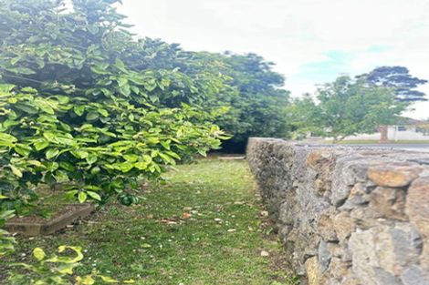 Photo of property in 217 Tripoli Road, Point England, Auckland, 1072