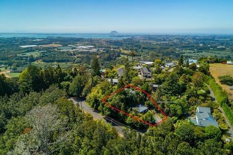 Photo of property in 219a Minden Road, Minden, Tauranga, 3176
