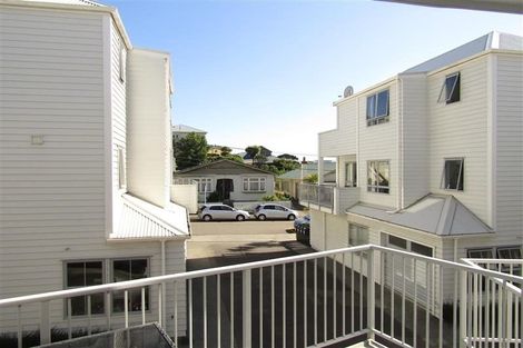 Photo of property in 3uj Papawai Terrace, Mount Cook, Wellington, 6021