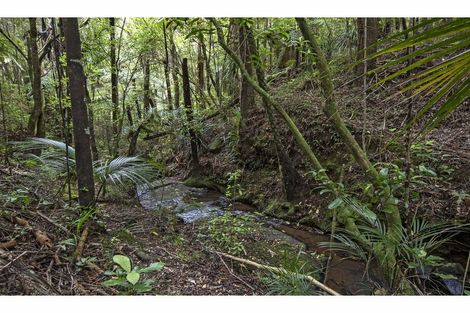 Photo of property in 106 Trounson Park Road, Kaihu, Dargaville, 0379